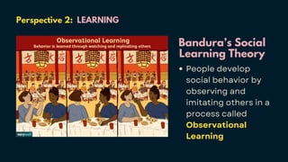 Perspective 2: LEARNING
Bandura’s Social
Learning Theory
People develop
social behavior by
observing and
imitating others in a
process called
Observational
Learning
 