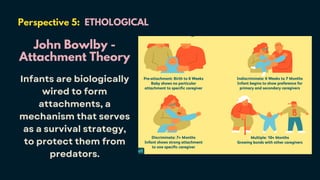 Perspective 5: ETHOLOGICAL
John Bowlby -
Attachment Theory
Infants are biologically
wired to form
attachments, a
mechanism that serves
as a survival strategy,
to protect them from
predators.
 