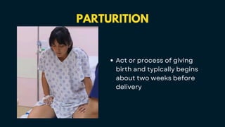 PARTURITION
Act or process of giving
birth and typically begins
about two weeks before
delivery
 