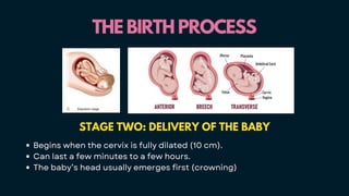 THE BIRTH PROCESS
THE BIRTH PROCESS
STAGE TWO: DELIVERY OF THE BABY
Begins when the cervix is fully dilated (10 cm).
Can last a few minutes to a few hours.
The baby’s head usually emerges first (crowning)
 