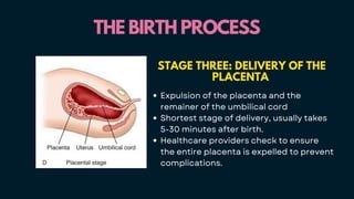 THE BIRTH PROCESS
THE BIRTH PROCESS
STAGE THREE: DELIVERY OF THE
PLACENTA
Expulsion of the placenta and the
remainer of the umbilical cord
Shortest stage of delivery, usually takes
5-30 minutes after birth.
Healthcare providers check to ensure
the entire placenta is expelled to prevent
complications.
 