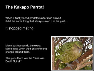 The Kakapo Parrot!

When if finally faced predators after man arrived,
it did the same thing that always saved it in the past…

It stopped mating!!



Many businesses do the exact
same thing when their environments
change around them.

This pulls them into the “Business
Death Spiral.”
 