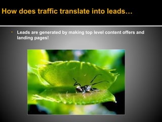 How does traffic translate into leads…

  •   Leads are generated by making top level content offers and
      landing pages!
 