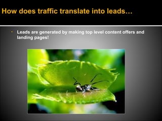How does traffic translate into leads…

  •   Leads are generated by making top level content offers and
      landing pages!
 