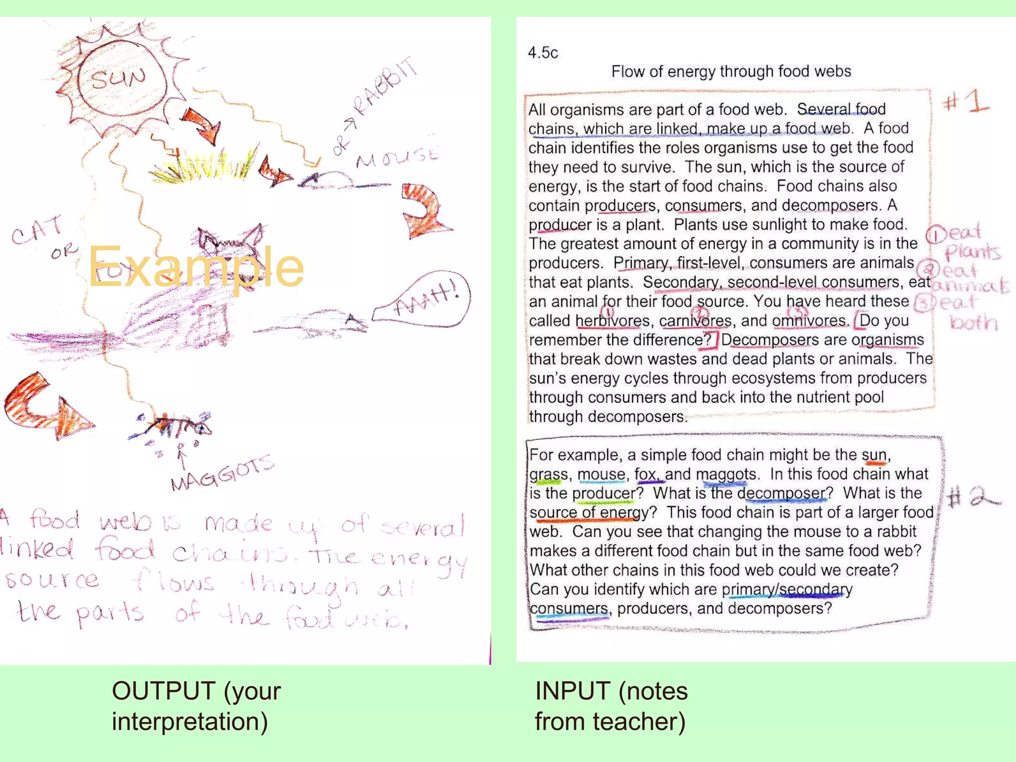 Example INPUT (notes from teacher) OUTPUT (your interpretation) 