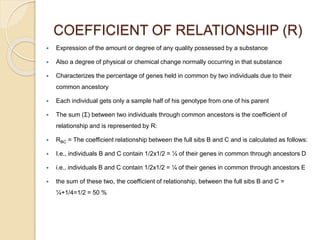 Relationship Inbreeding R Values Inbreeding and outbreeding | PPTX
