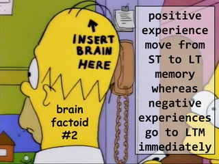 positive
experience
move from
ST to LT
memory
whereas
negative
experiences
go to LTM
immediately
brain
factoid
#2
 
