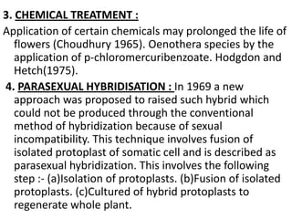 3. CHEMICAL TREATMENT :
Application of certain chemicals may prolonged the life of
   flowers (Choudhury 1965). Oenothera species by the
   application of p-chloromercuribenzoate. Hodgdon and
   Hetch(1975).
4. PARASEXUAL HYBRIDISATION : In 1969 a new
   approach was proposed to raised such hybrid which
   could not be produced through the conventional
   method of hybridization because of sexual
   incompatibility. This technique involves fusion of
   isolated protoplast of somatic cell and is described as
   parasexual hybridization. This involves the following
   step :- (a)Isolation of protoplasts. (b)Fusion of isolated
   protoplasts. (c)Cultured of hybrid protoplasts to
   regenerate whole plant.
 