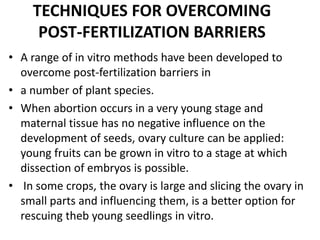 TECHNIQUES FOR OVERCOMING
     POST-FERTILIZATION BARRIERS
• A range of in vitro methods have been developed to
  overcome post-fertilization barriers in
• a number of plant species.
• When abortion occurs in a very young stage and
  maternal tissue has no negative influence on the
  development of seeds, ovary culture can be applied:
  young fruits can be grown in vitro to a stage at which
  dissection of embryos is possible.
• In some crops, the ovary is large and slicing the ovary in
  small parts and influencing them, is a better option for
  rescuing theb young seedlings in vitro.
 