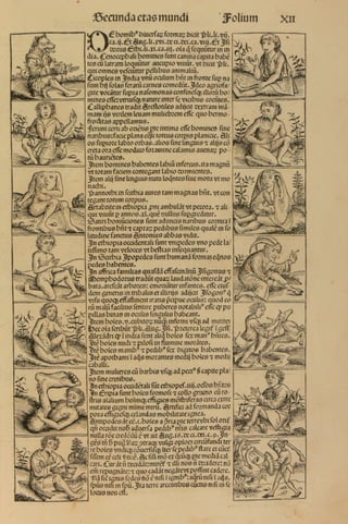 Liber chronicarum (La chronique de Nuremberg) - Inc55