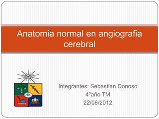 Anatomia normal en angiografia
          cerebral



         Integrantes: Sebastian Donoso
                    4ºaño TM
                   22/06/2012
 