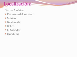 Localización: 
Centro América: 
 Península del Yucatán 
 México 
 Guatemala 
 Belice 
 El Salvador 
 Honduras 
 