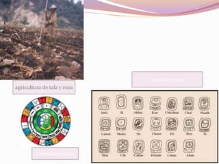 agricultura de tala y roza 
Calendario solar 
Calendario lunar 
 