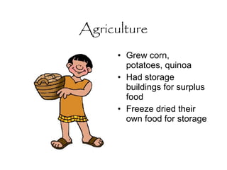 Agriculture Grew corn, potatoes, quinoa Had storage buildings for surplus food Freeze dried their own food for storage 