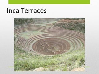 Inca Terraces

 