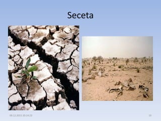 Seceta
09.12.2015 20:14:23 19
 