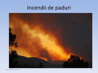 Incendii de paduri
09.12.2015 20:14:23 20
 