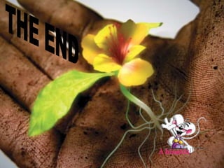 09.12.2015 20:14:23 24
 