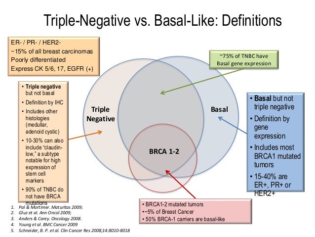 Triple Negative Breast Cancer Triple Negative Breast Cancer