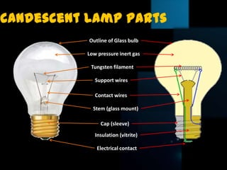 Incandescent Light Bulb Parts