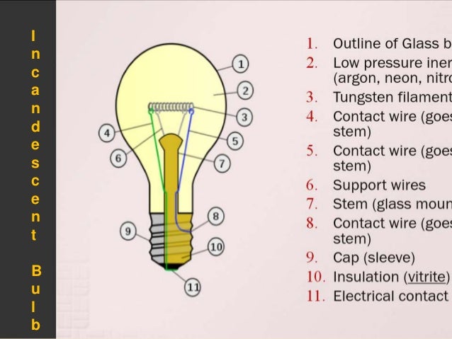 Label the parts of a bulb