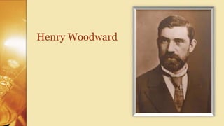 Henry woodward 2024 light bulb