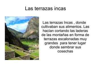 Las terrazas incas Las Las terrazas Incas , donde cultivaban sus alimentos. Las hacían cortando las laderas de las montañas en forma de terrazas escalonadas muy grandes para tener lugar donde sembrar sus cosechas