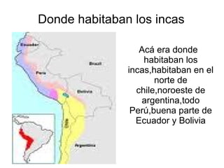 Donde habitaban los incas ,[object Object]