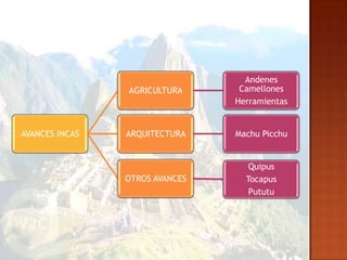 Andenes
                AGRICULTURA      Camellones
                                Herramientas


AVANCES INCAS   ARQUITECTURA    Machu Picchu


                                   Quipus
                OTROS AVANCES     Tocapus
                                   Pututu
 