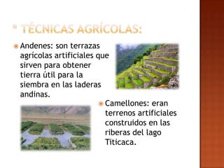  Andenes:  son terrazas
 agrícolas artificiales que
 sirven para obtener
 tierra útil para la
 siembra en las laderas
 andinas.
                          Camellones: eran
                           terrenos artificiales
                           construidos en las
                           riberas del lago
                           Titicaca.
 