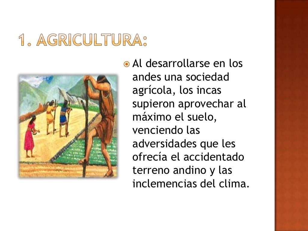 Avances tecnológicos de los Incas