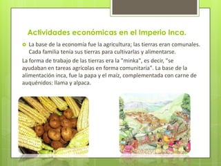 Actividades económicas en el Imperio Inca.
  La base de la economía fue la agricultura; las tierras eran comunales.
   Cada familia tenía sus tierras para cultivarlas y alimentarse.
La forma de trabajo de las tierras era la "minka", es decir, "se
ayudaban en tareas agrícolas en forma comunitaria". La base de la
alimentación inca, fue la papa y el maíz, complementada con carne de
auquénidos: llama y alpaca.
 