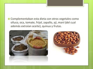  Complementaban esta dieta con otros vegetales como
  olluco, oca, tomate, frijol, zapallo, ají, maní (del cual
  además extraían aceite), quinua y frutas.
 