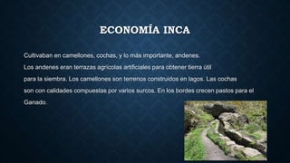 ECONOMÍA INCA 
Cultivaban en camellones, cochas, y lo más importante, andenes. 
Los andenes eran terrazas agrícolas artificiales para obtener tierra útil 
para la siembra. Los camellones son terrenos construidos en lagos. Las cochas 
son con calidades compuestas por varios surcos. En los bordes crecen pastos para el 
Ganado. 
 