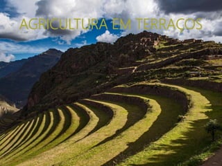 AGRICULTURA EM TERRAÇOS
 