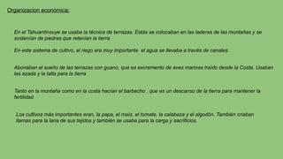 Organizacion económica:
En el Tahuantinsuye se usaba la técnica de terrazas. Estás se colocaban en las laderas de las montañas y se
sostenían de piedras que retenían la tierra
En este sistema de cultivo, el riego era muy importante el agua se llevaba a través de canales.
Abonaban el sueño de las terrazas con guano, que es excremento de aves marinas traído desde la Costa. Usaban
las azada y la talla para la tierra
Tanto en la montaña como en la costa hacían el barbecho , que es un descanso de la tierra para mantener la
fertilidad
Los cultivos más importantes eran, la papa, el maíz, el tomate, la calabaza y el algodón. También criaban
llamas para la lana de sus tejidos y también se usaba para la carga y sacrificios.
 