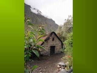 Incas chaf   copie