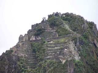 Incas chaf   copie