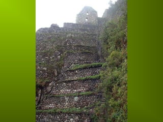 Incas chaf   copie