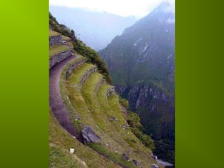 Incas chaf   copie