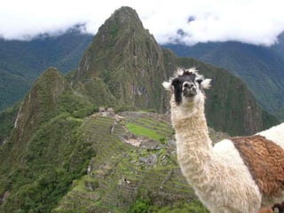 Incas chaf   copie