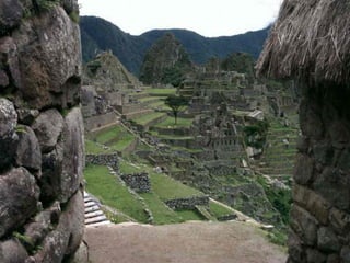 Incas chaf   copie