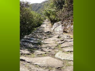 Incas chaf   copie