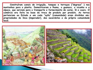 Construíram canais de irrigação, tanques e terraços (“degraus” ) nas montanhas para o plantio. Domesticaram o lhama, o guanaco, a vicunha e a alpaca, que serviam para o transporte e fornecimento de carne, lã e couro. O comércio era feito na base da troca de produto por produto. As terras pertenciam ao Estado e em cada “ayllu” (comunidade) eram divididas em: propriedades do Inca (imperador), dos sacerdotes e da própria comunidade local.  