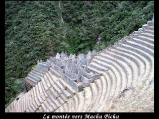 La montée vers Machu Pichu 