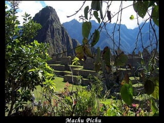 Machu Pichu 