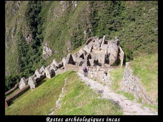 Restes archéologiques incas 