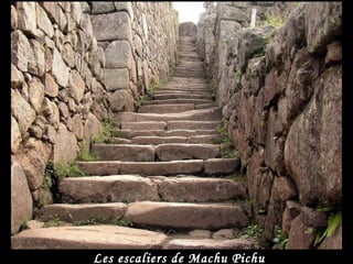 Les escaliers de Machu Pichu
 