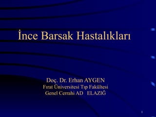 İnce Barsak Hastalıkları


      Doç. Dr. Erhan AYGEN
     Fırat Üniversitesi Tıp Fakültesi
      Genel Cerrahi AD ELAZIĞ


                                        1
 