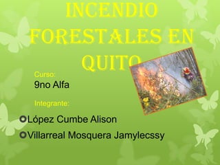 Incendio
  forestales en
       Quito
   Curso:
   9no Alfa
   Integrante:

López Cumbe Alison
Villarreal Mosquera Jamylecssy
 